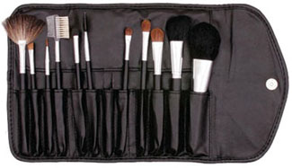 Empty 12 Piece Brush Case
