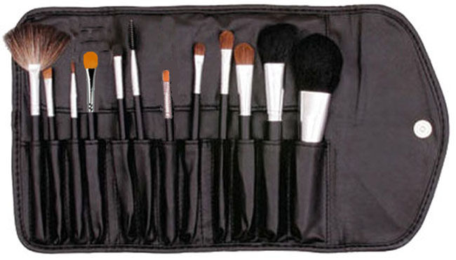 Studio Direct Cosmetics Professional 12 Piece Mixed-Brush Set