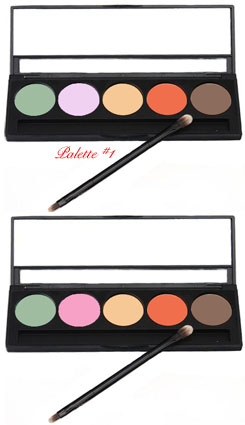 Click to Enlarge Studio Direct Professional 5 Color Concealer/Corrector Palette Photo