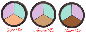 Click to Enlarge Studio Direct Conceal & Correct Kits Colors Selection Chart