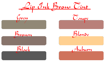 Lip Ink Semi Permanent Miracle Brow Tint Color Selection Chart