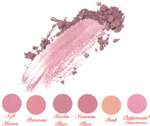 Click to Enlarge Studio Direct Cosmetics Luxurious Long Wearing Pressed Powder Blush Color Selection Chart
