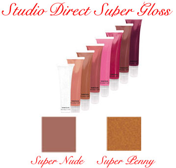 Studio Direct Super Gloss Color Selection Chart
