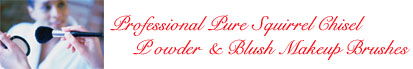 Studio Direct Professional Chisel Powder & Blush Makeup Brushes