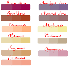 Click to Enlarge Lip Ink Professional Designer Lip Color Selection Chart