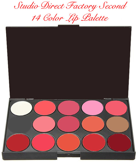 Studio Direct Cosmetics 14 Color Lip Palette