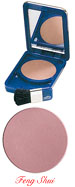 Click to Enlarge Studio Direct Cosmetics Ultra Satin Powder Blush Color Selection Chart